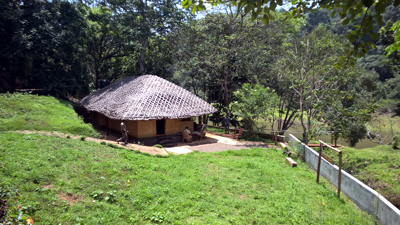 Thekkady House