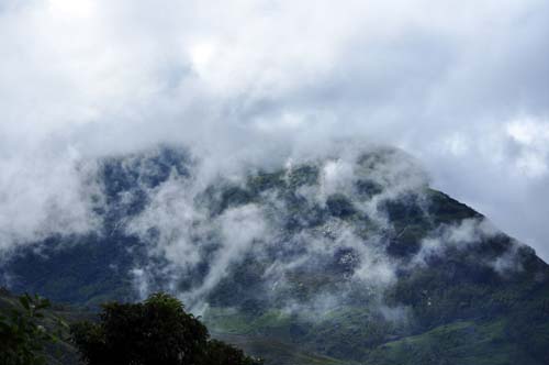 Eravikulam National Park