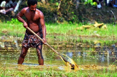 Preparing Ploughed Fields For The Race