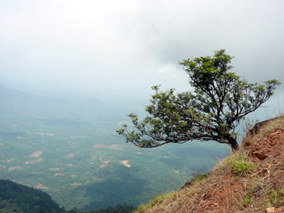 Kudajadri Hills