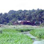 Tiruchengode Road View