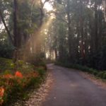 Carver Marsh Monument –  Valparai