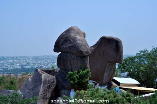 Rock Resembles 2 Birds