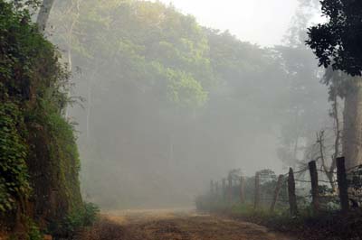 Meghamalai