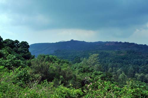 Yercaud Hills