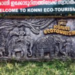 Elephant Safari View Konni