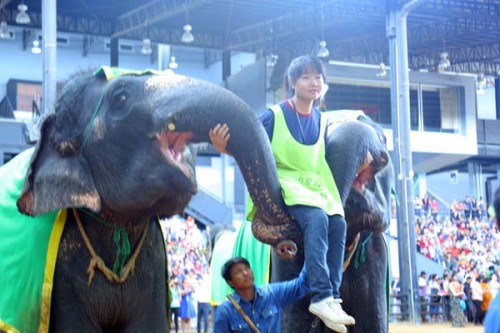 Nong Nooch Village Elephant Show