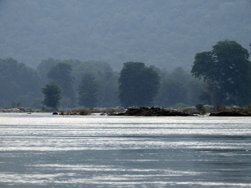 Kaveri River View