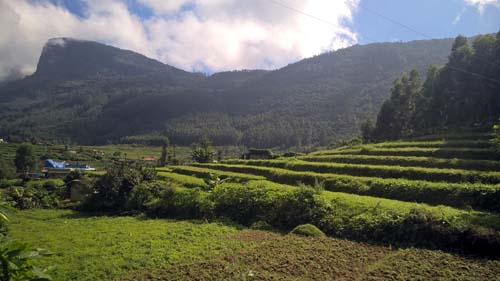 മറയൂര്‍