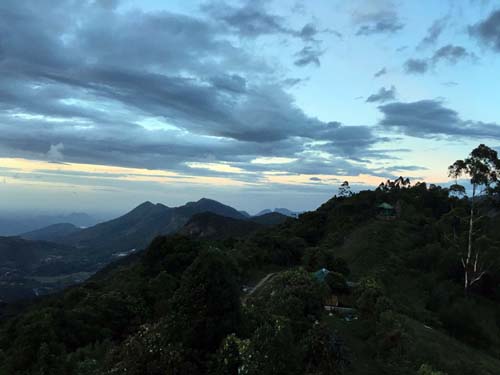 മത്താപ്പ്