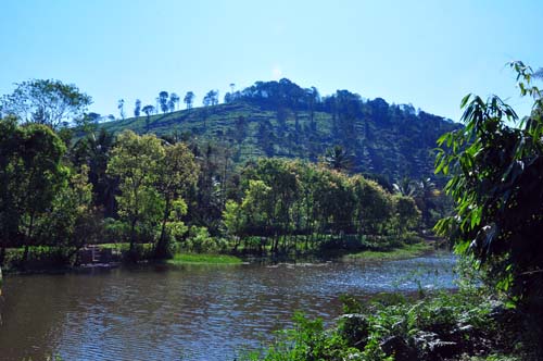 വണ്ടിപെരിയാര്‍