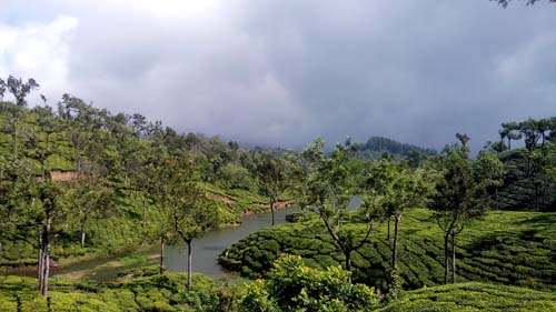 മൂന്നാര്‍