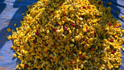 Thovalai Flowers