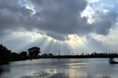 Thovalai Sunrise