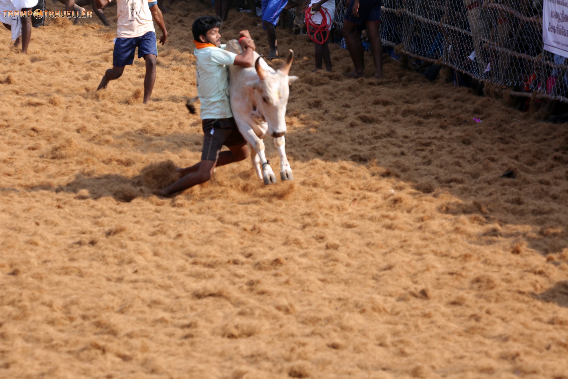 Jallikattu 2017 Palamedu