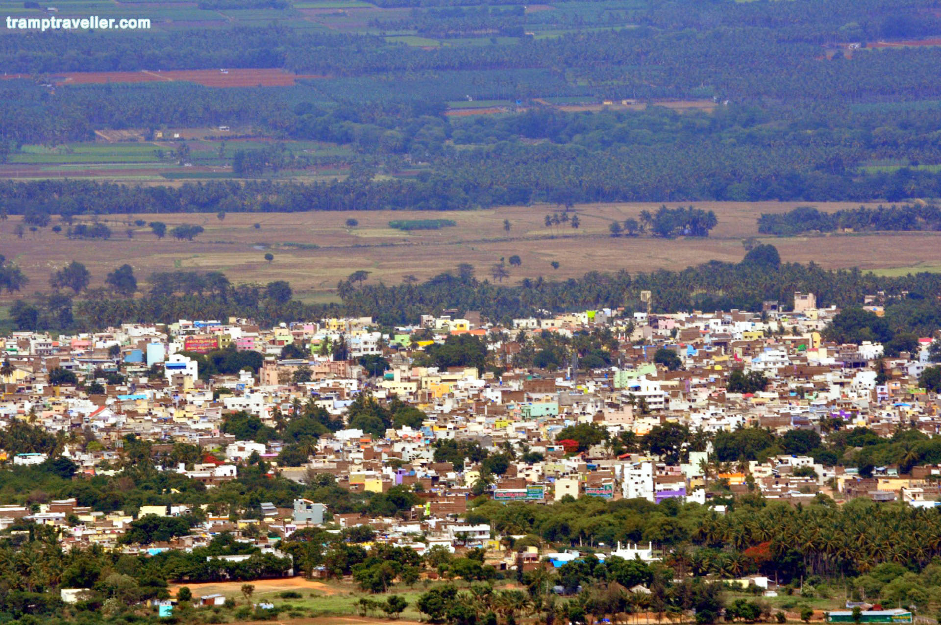 Kambam View