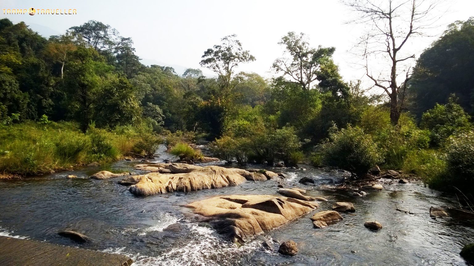 kalindi river wayanad map.