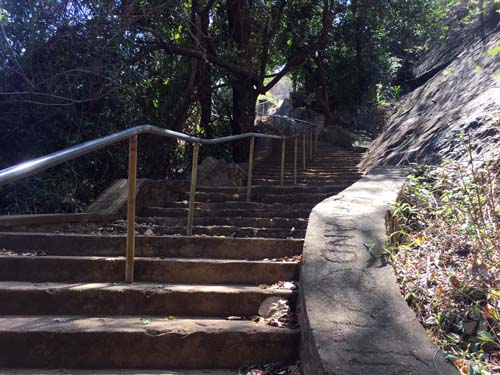 ആകാശഗംഗ വെള്ളചാട്ടത്തിലേക്കുള്ള വഴി