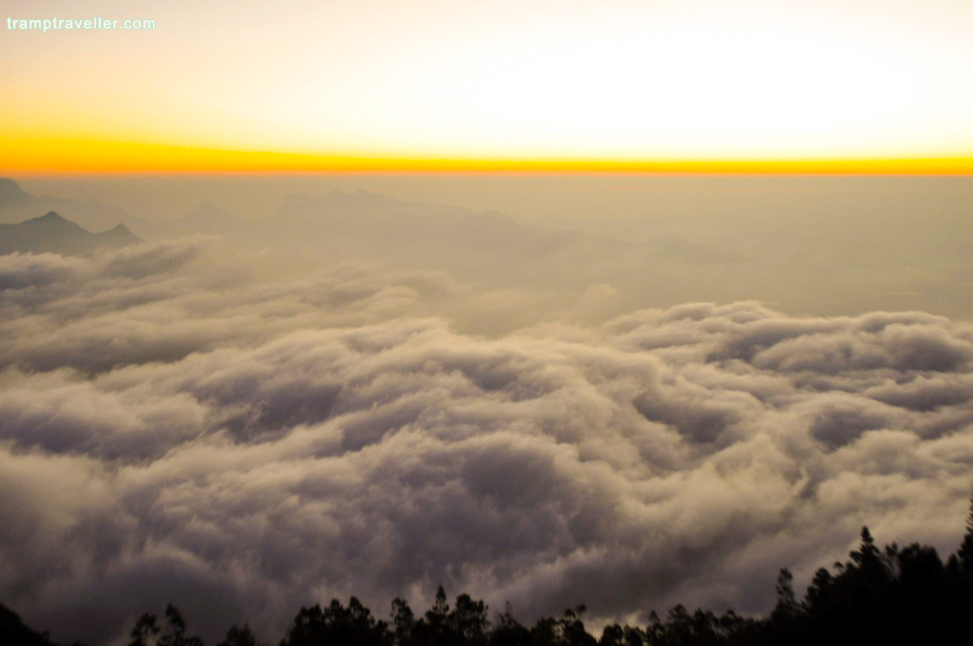 Kolukkumalai Sunrise View TrampTraveller