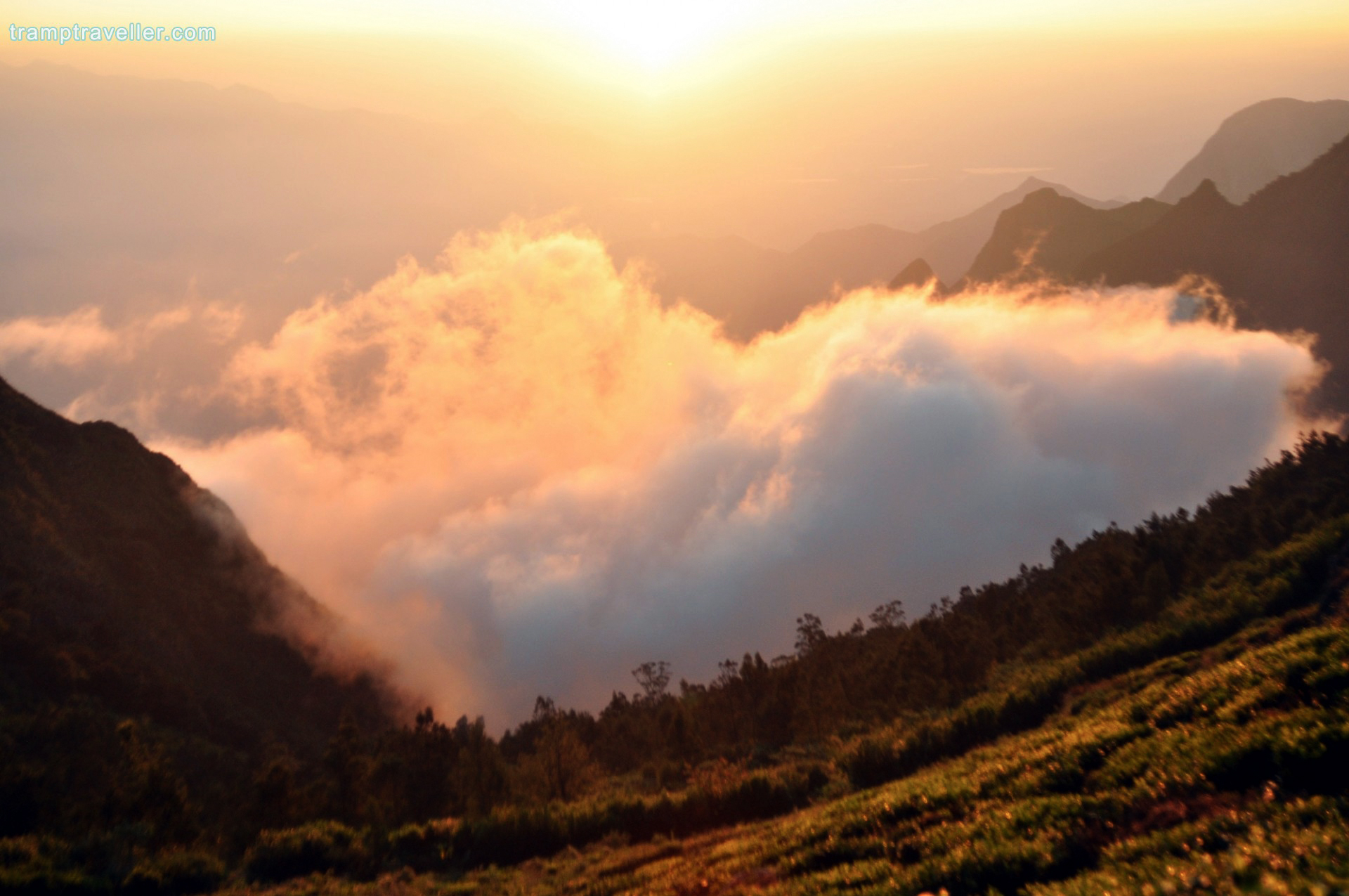 Kolukkumalai Sunrise View TrampTraveller