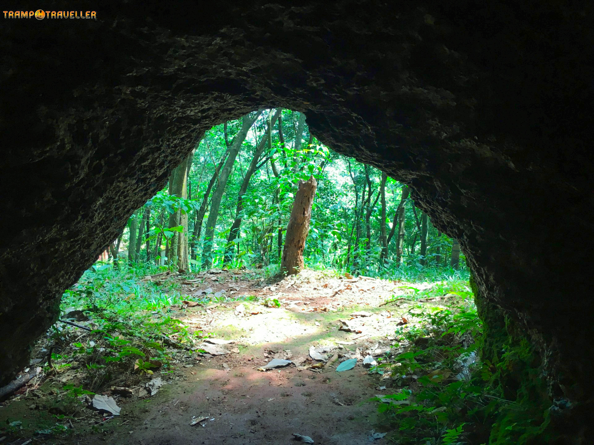 Kodikutti Cave