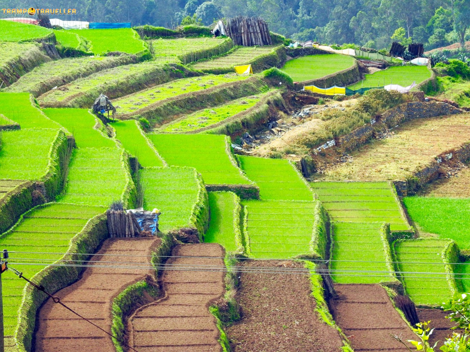 Kookal Village View Kodaikanal TrampTraveller