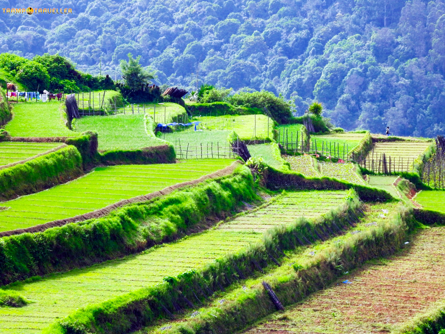 Kookal Village View Kodaikanal TrampTraveller