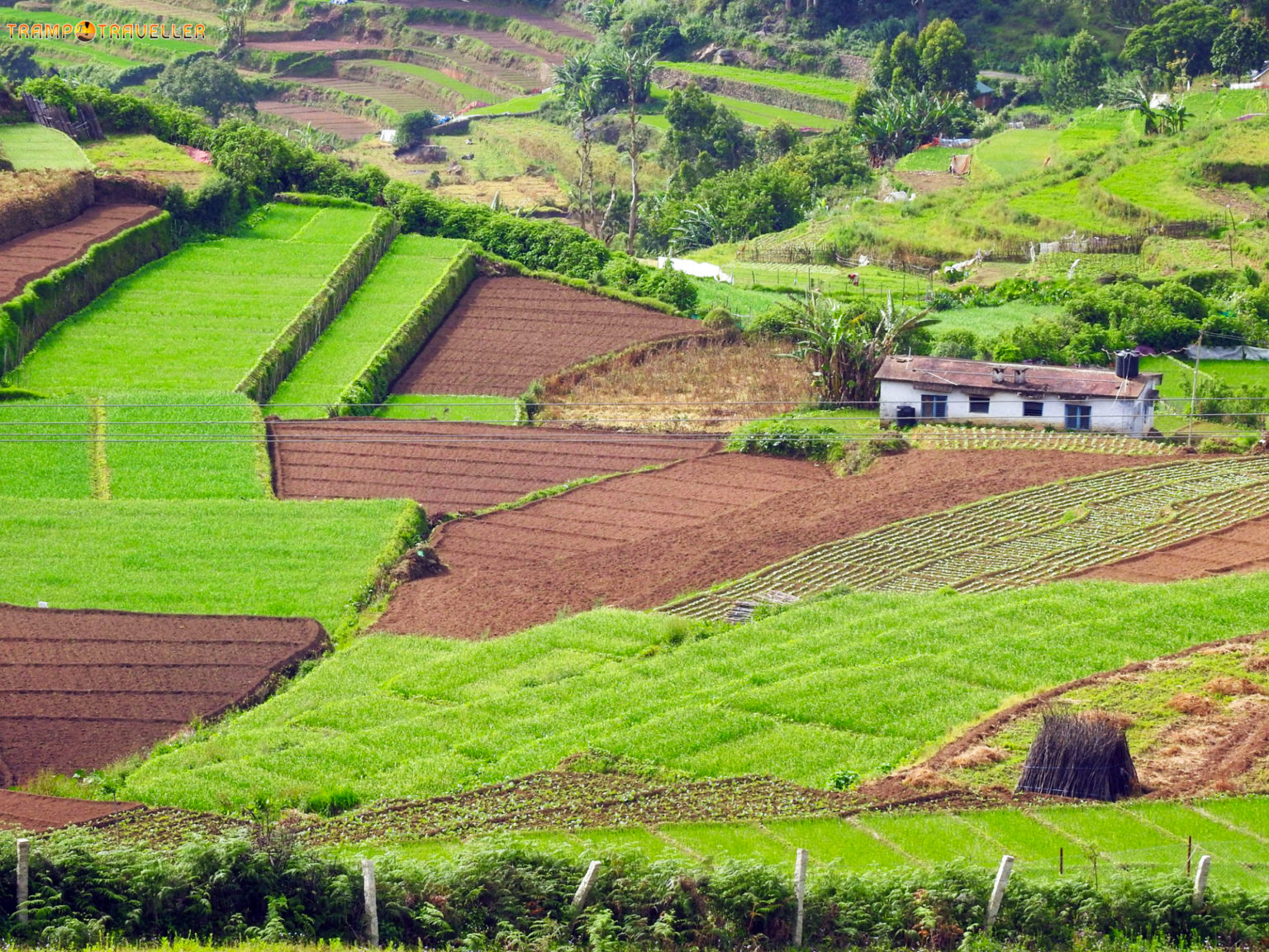 Kookal Village View Kodaikanal TrampTraveller