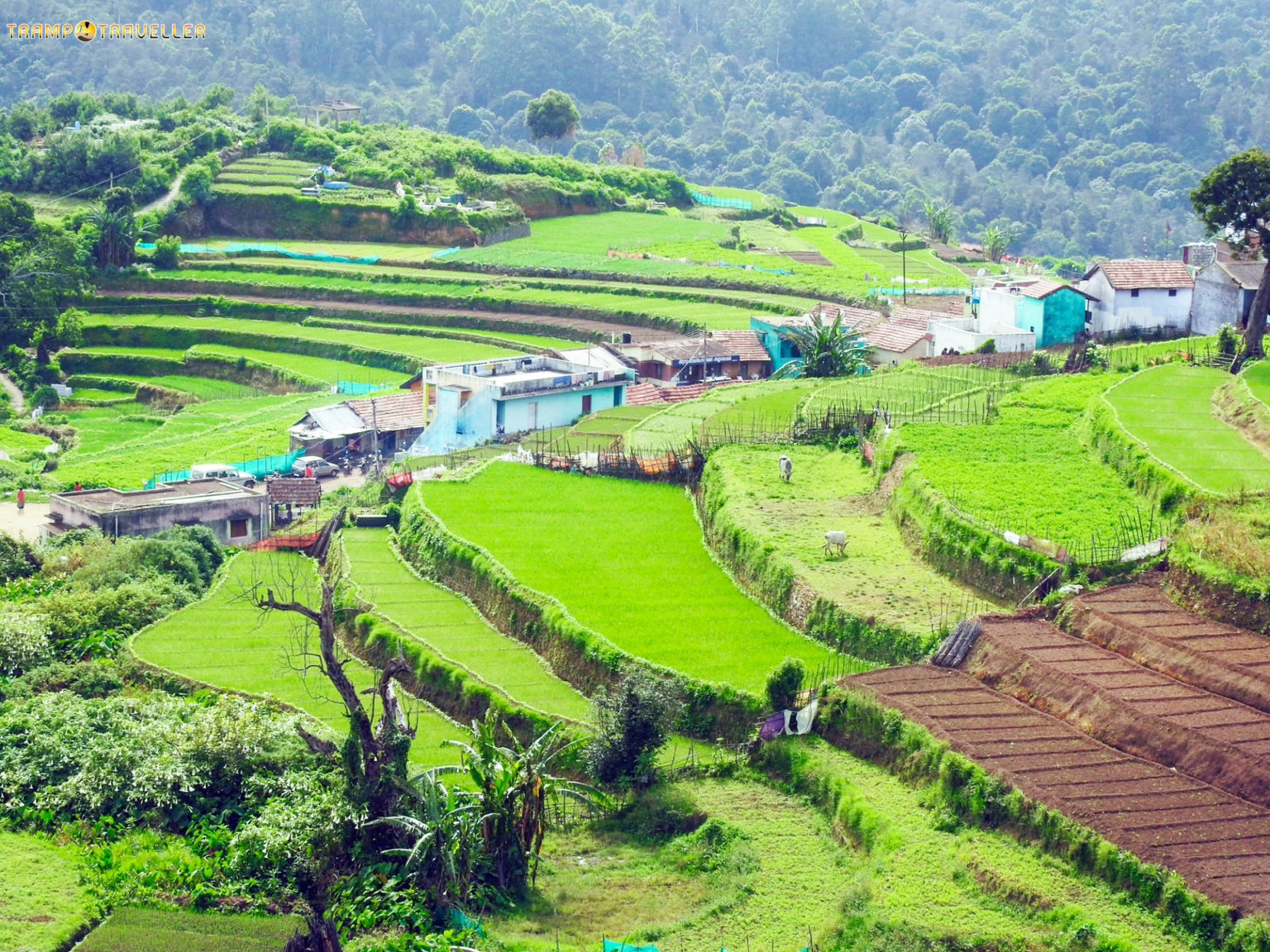 Kookal Village View Kodaikanal TrampTraveller