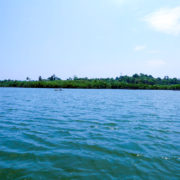 Madu River