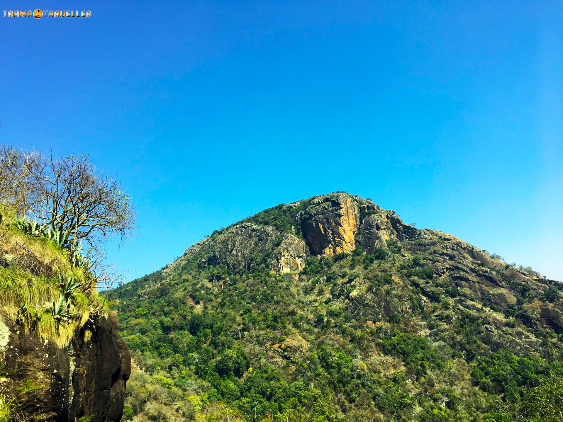 Kolli Malai