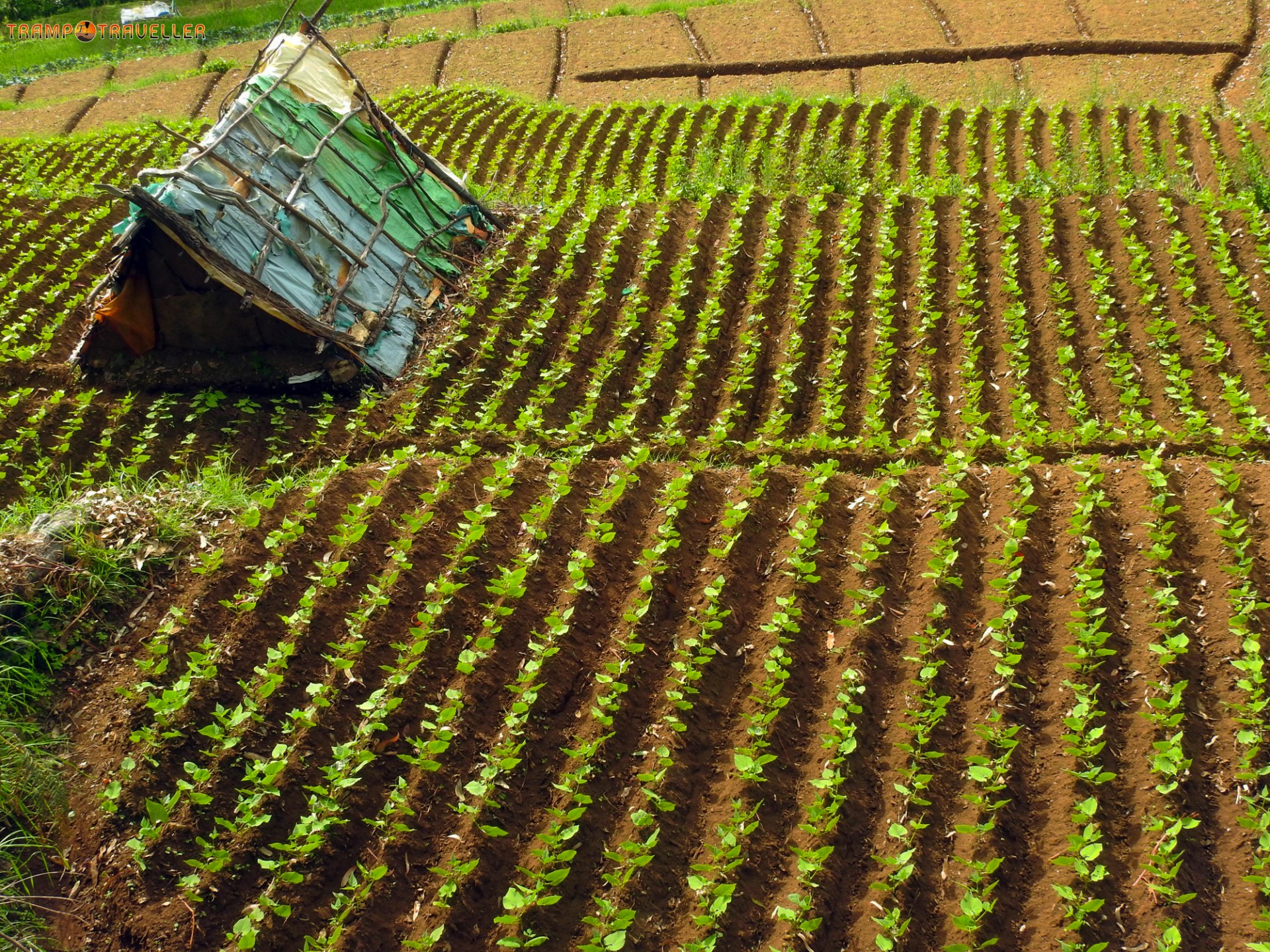 Kookal Village View Kodaikanal