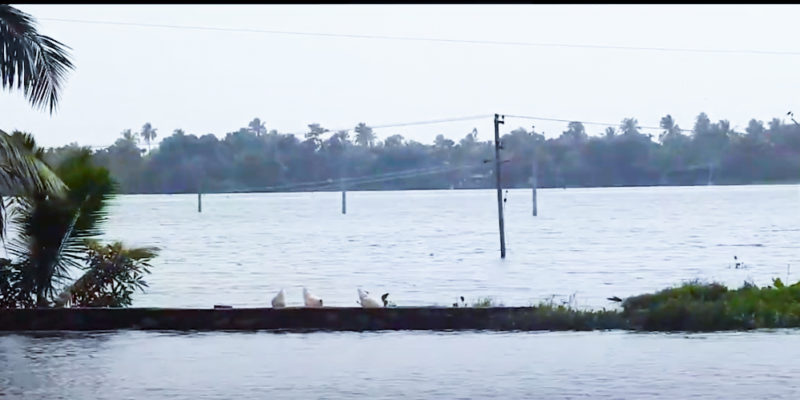 Kainakary Floods View