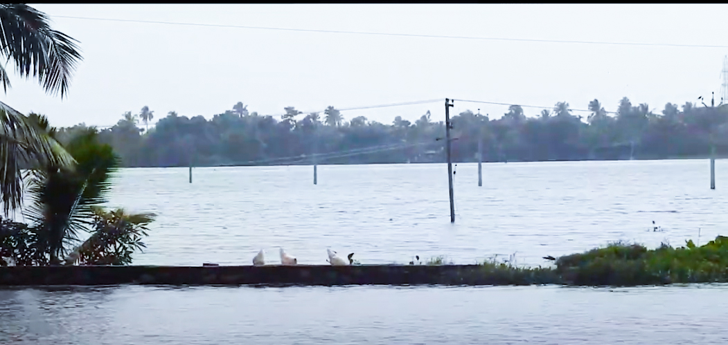 Kainakary Floods View