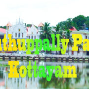 Puthuppally Pally View