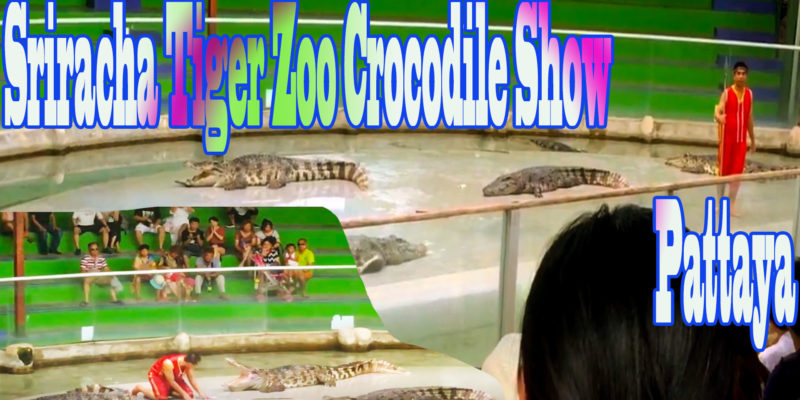 Sriracha Tiger Zoo Crocodile Show