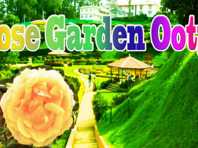 Ooty Rose Garden