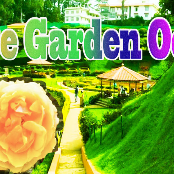 Ooty Rose Garden