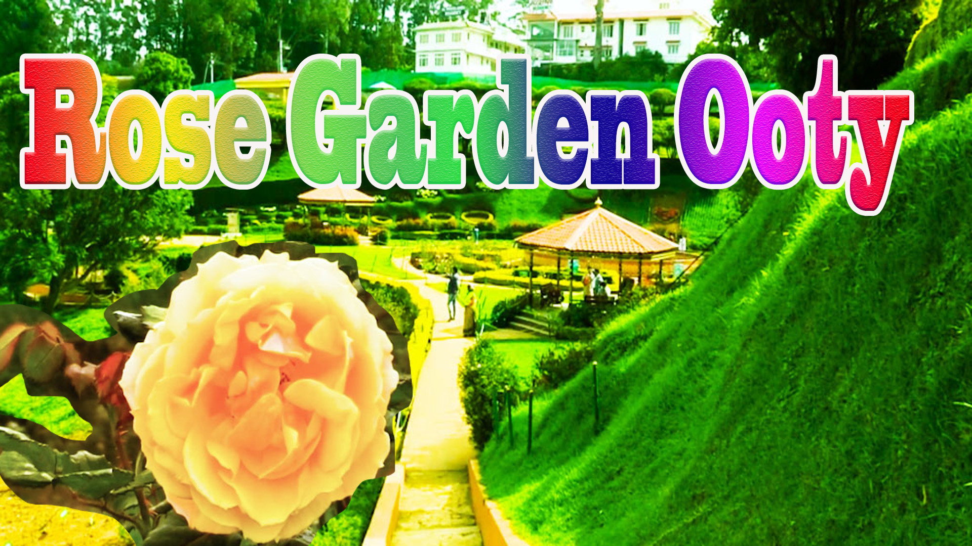 Ooty Rose Garden