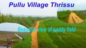 Pullu Village View