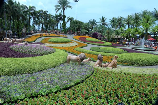 നോങ് നോച്ച് വില്ലേജ് ബട്ടര്‍ഫ്ലൈ കുന്ന്