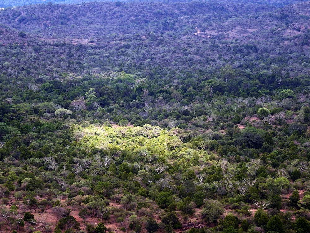 Chinnar Wildlife Sanctuary