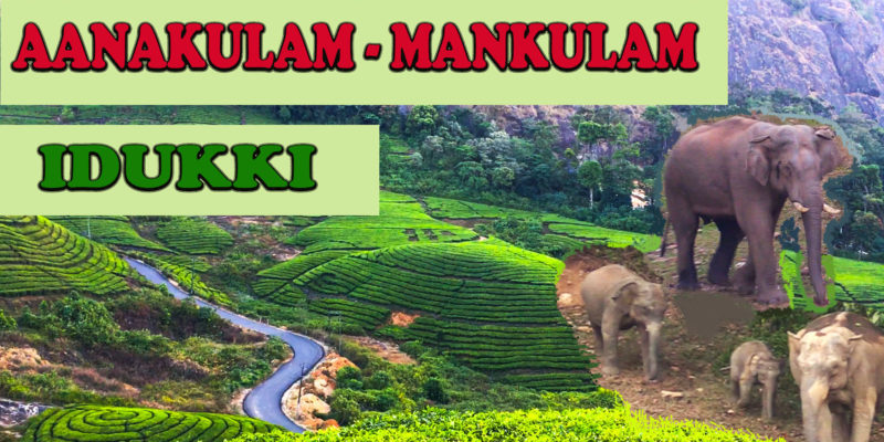 Aanakulam - Mankulam