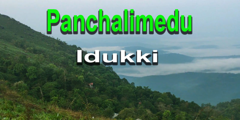 Panchalimedu