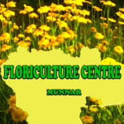 Floriculture Centre Munnar