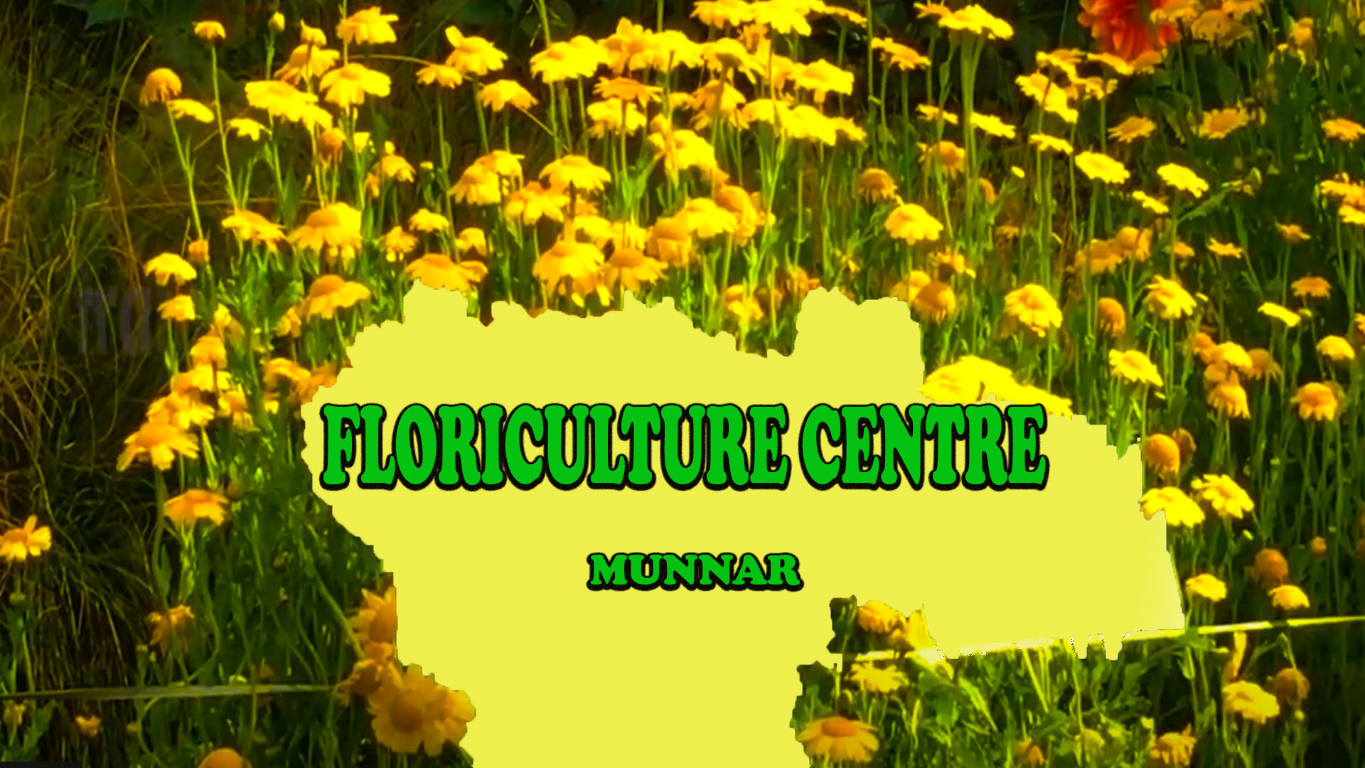 Floriculture Centre Munnar