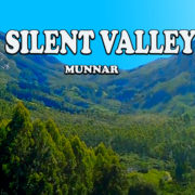 Silent Valley - Munnar
