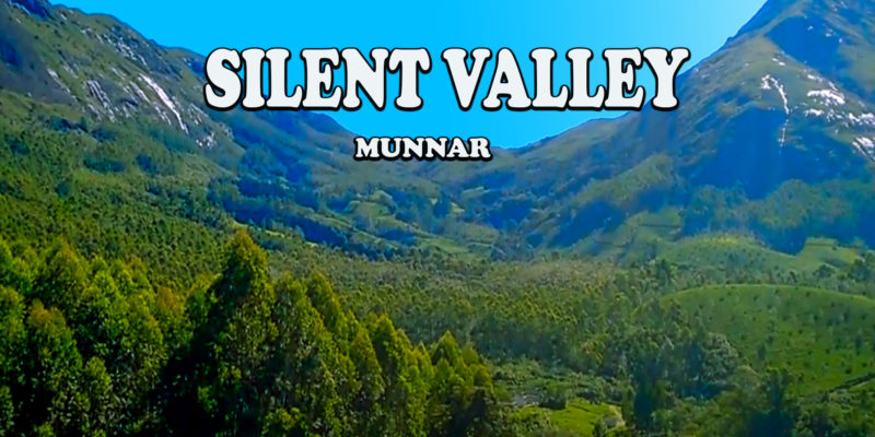 Silent Valley - Munnar