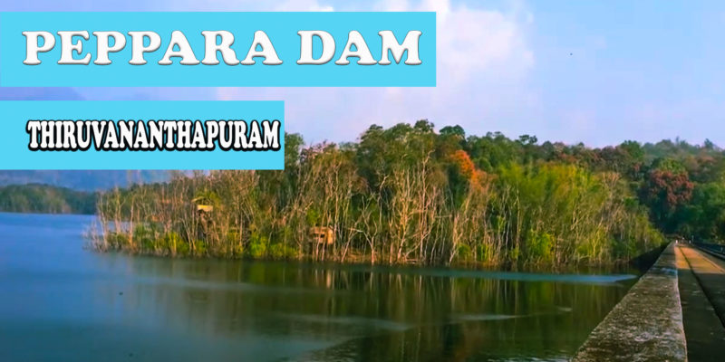 Peppara Dam