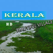 Beautiful Village Views In Kerala - Part - 1